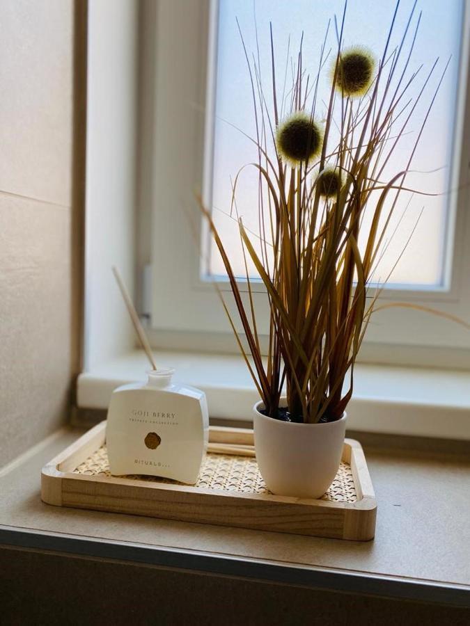 ליבניץ Vinestia Cityloft Storchenblick, Non-Serviced Appartement מראה חיצוני תמונה
