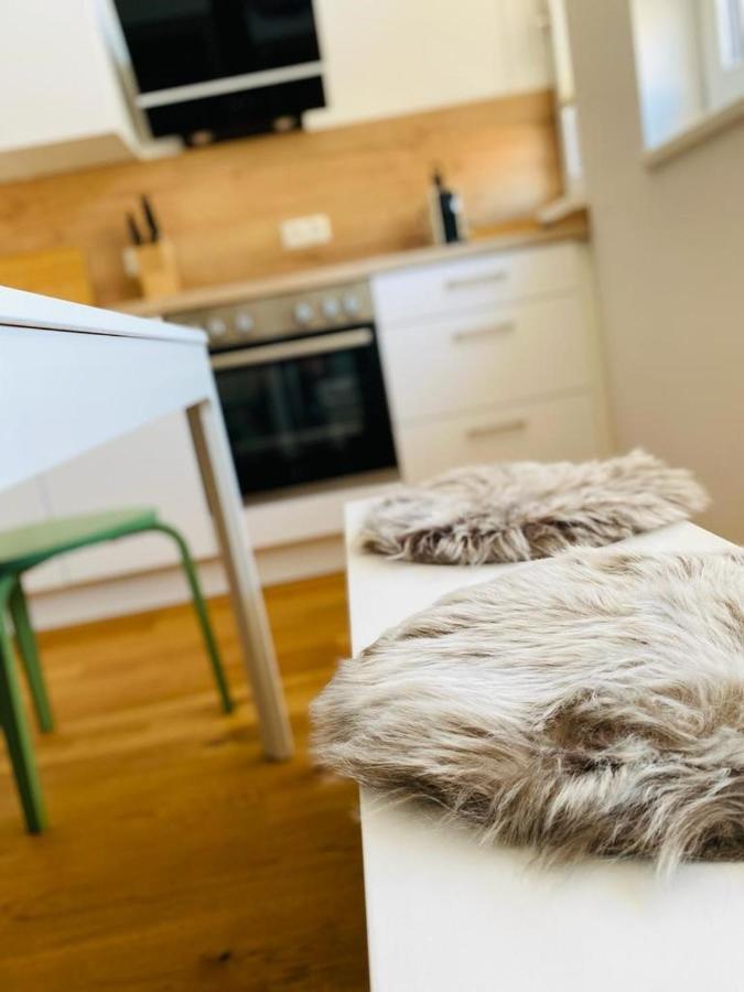 ליבניץ Vinestia Cityloft Storchenblick, Non-Serviced Appartement מראה חיצוני תמונה